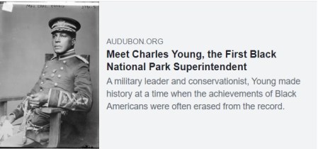 Meet Charles Young, the First Black National Park Superintendent