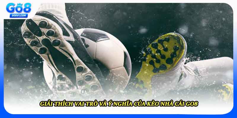 Giải thích vai trò và ý nghĩa của kèo nhà cái Go8